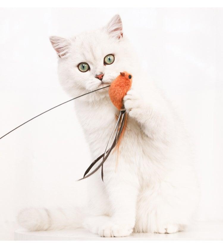 Funny Feather Bird With Bell Cat Stick Toy For Kitten Play