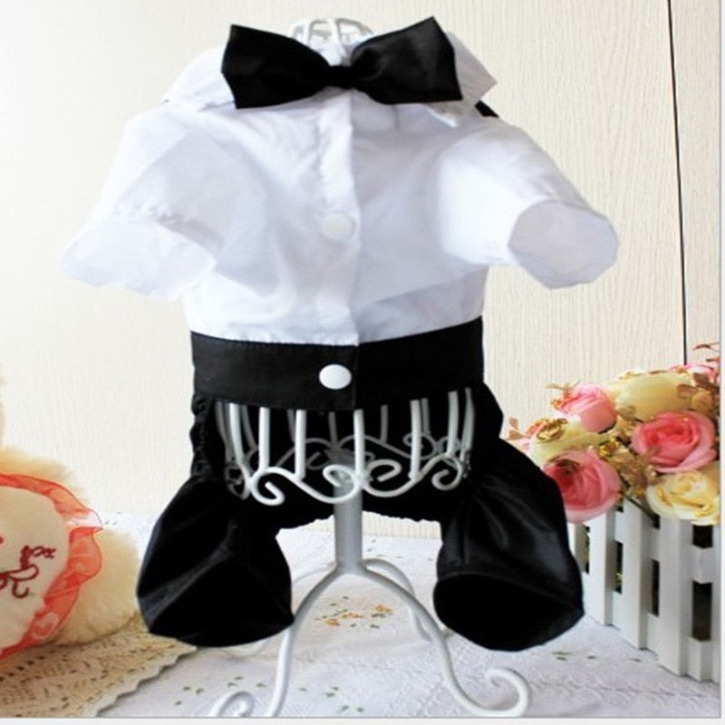 Handsome Stylish Pet Suit with Bow Tie - Purrfect Pet Kingdom