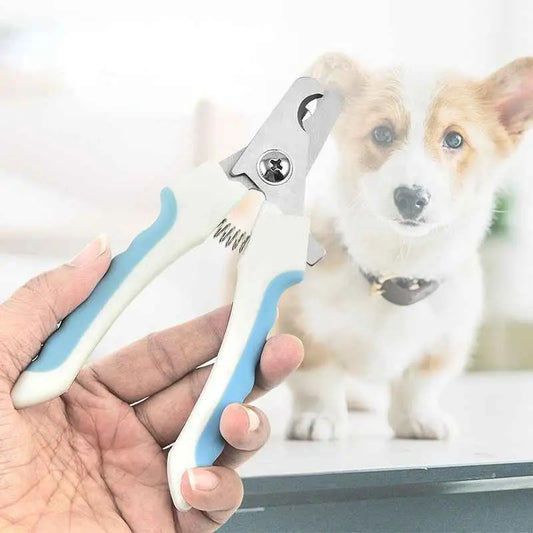 Purrfect Pet Kingdom professional dog nail clippers with white and blue handles held in hand with dog in background