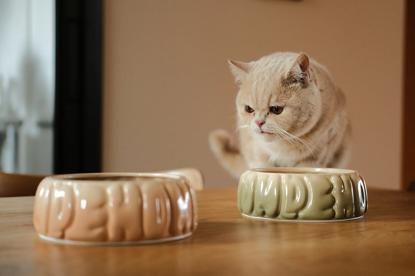Pehomnyc Puff Pet Bowl in gradient olive, spill-proof durable resin dish, perfect for pets. Available for $39.99.