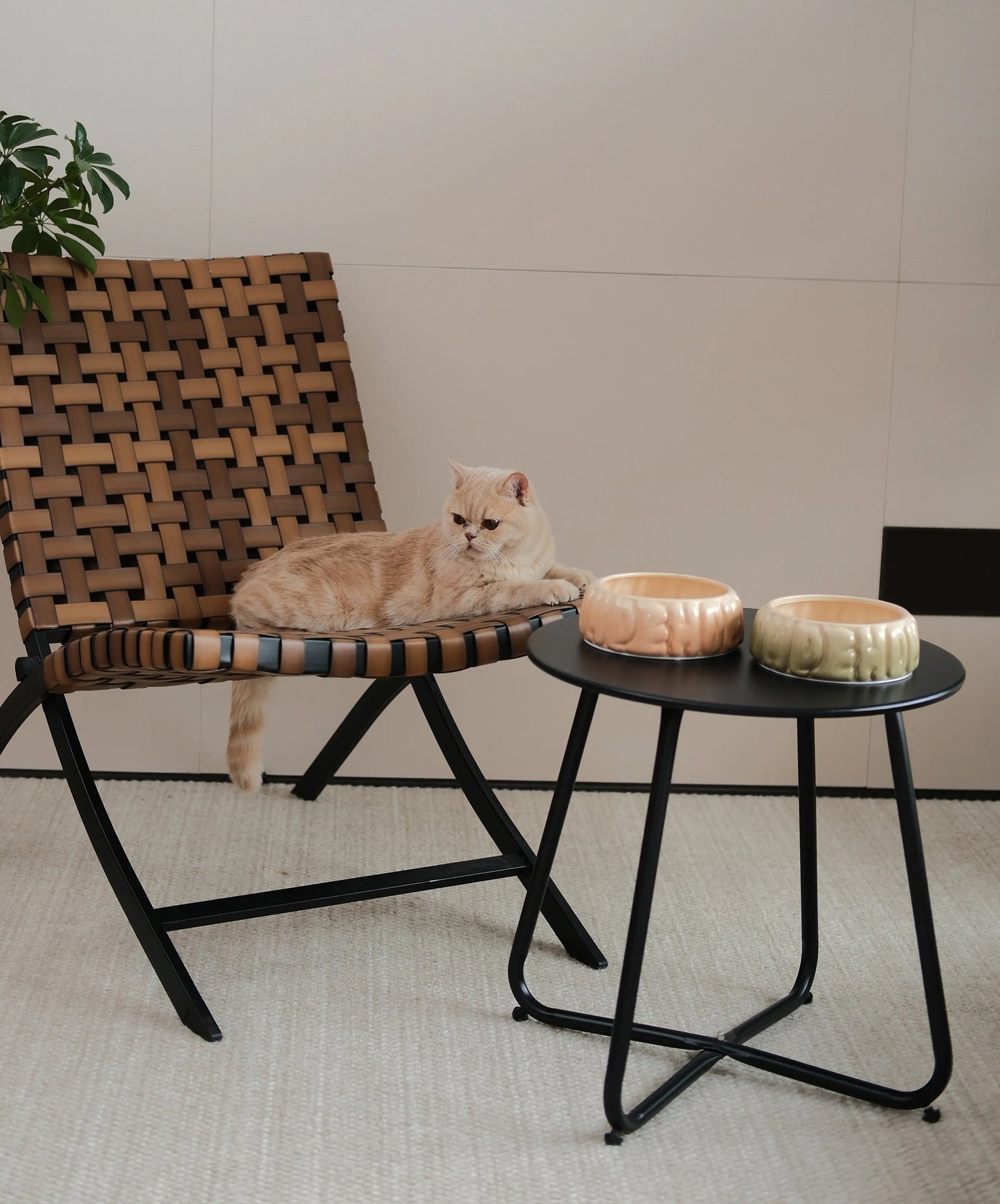 Puff Pet Bowl Gradient Olive by Purrfect Pet Kingdom, spill-proof resin dish, durable design, perfect for pets, $39.99.