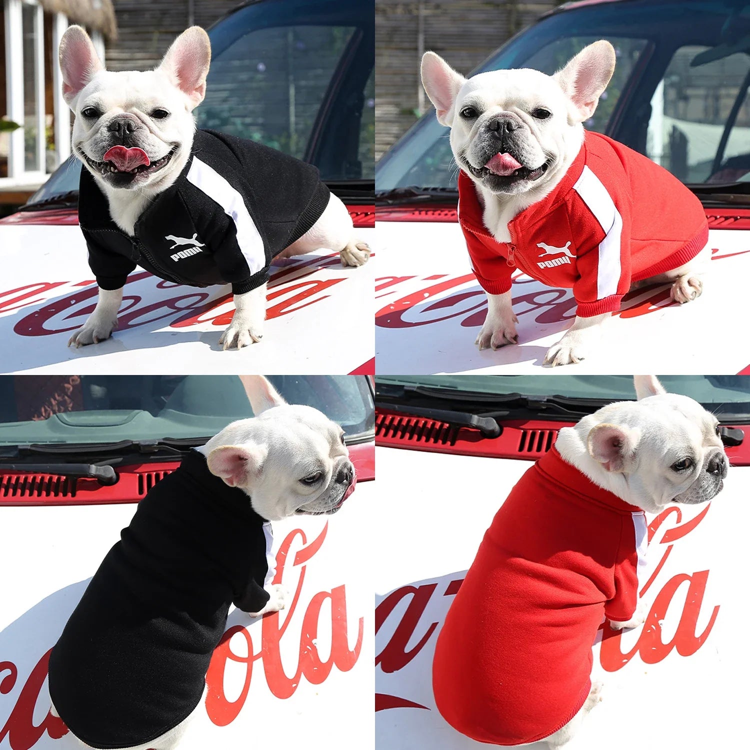 Tail Chasers Warm Dog Apparel for Small Dogs featuring Cozy Sweatshirts in Black and Red