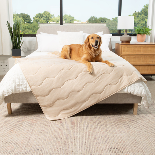 Pupchill Cooling Waterproof Blanket Arctic Sand Washable - detail view