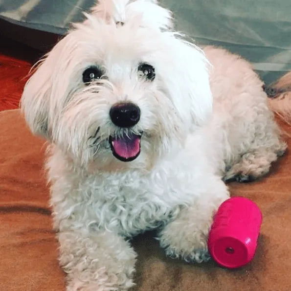 Small pink Puppy Can Toy rubber chew toy for teething puppies by SodaPup, featuring a treat dispenser design.