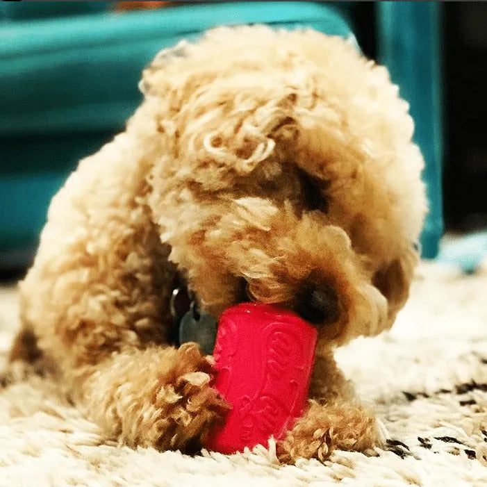 Small pink Puppy Can Toy rubber chew toy by SodaPup for teething puppies, featuring a treat dispenser design.