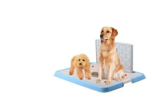 Purrfect Pet Kingdom Puppy Training Pad with Tray Large Blue-Jxcw22Female Purrfect Pet Kingdom