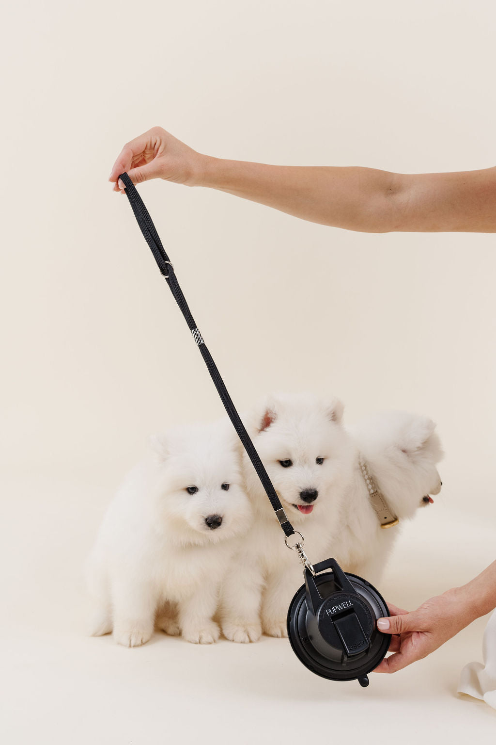 Pet Grooming Leash Stay In Place Safety Tether