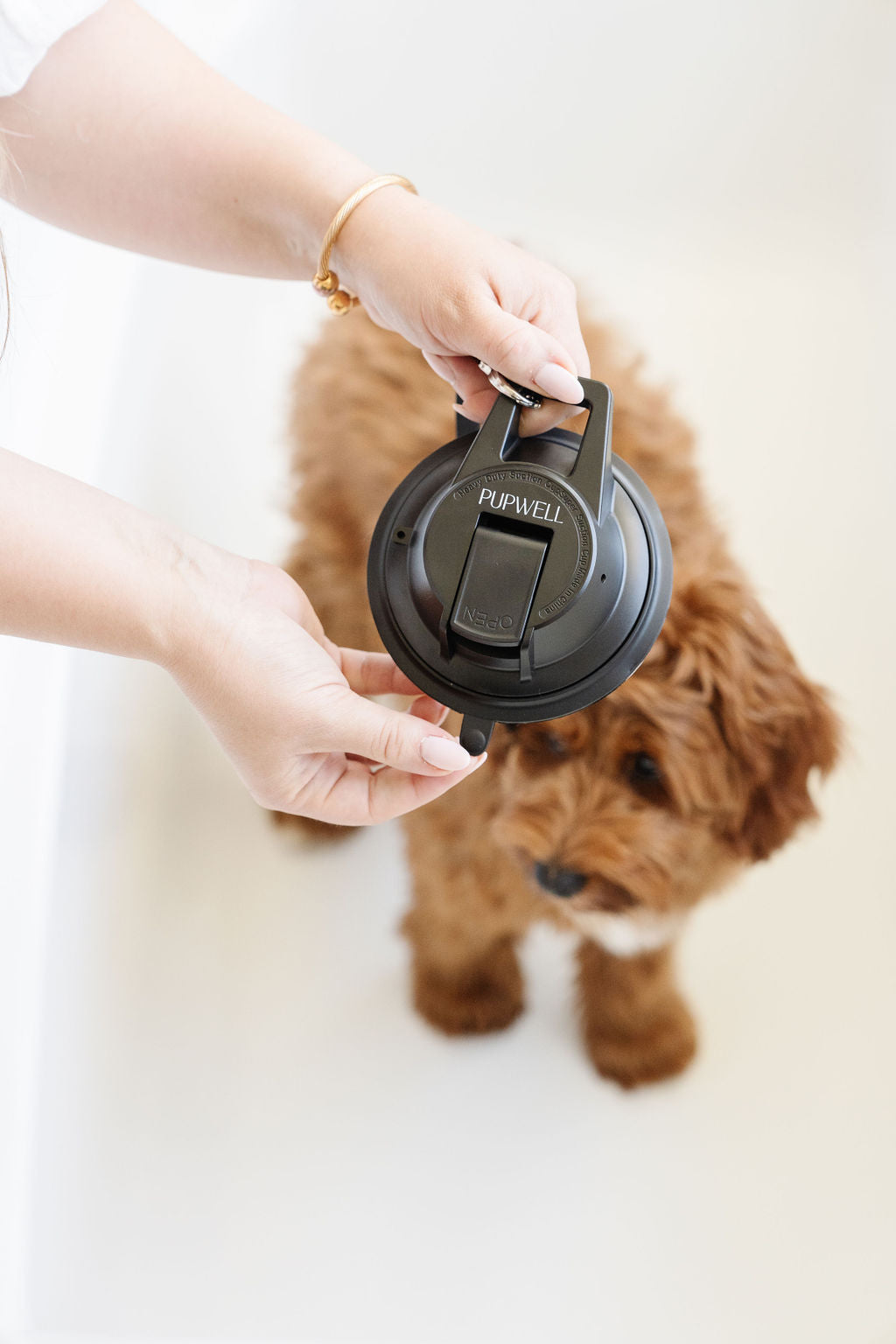 Pet Grooming Leash Stay In Place Safety Tether