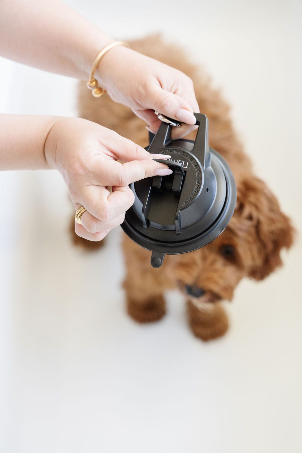 Pet Grooming Leash Stay In Place Safety Tether