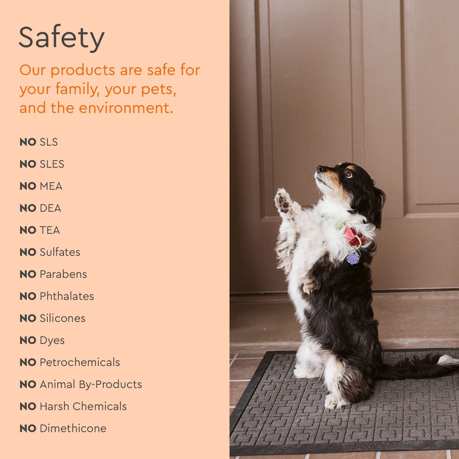 Puracy natural pet odor eliminator spray for safe and eco-friendly pet care at home