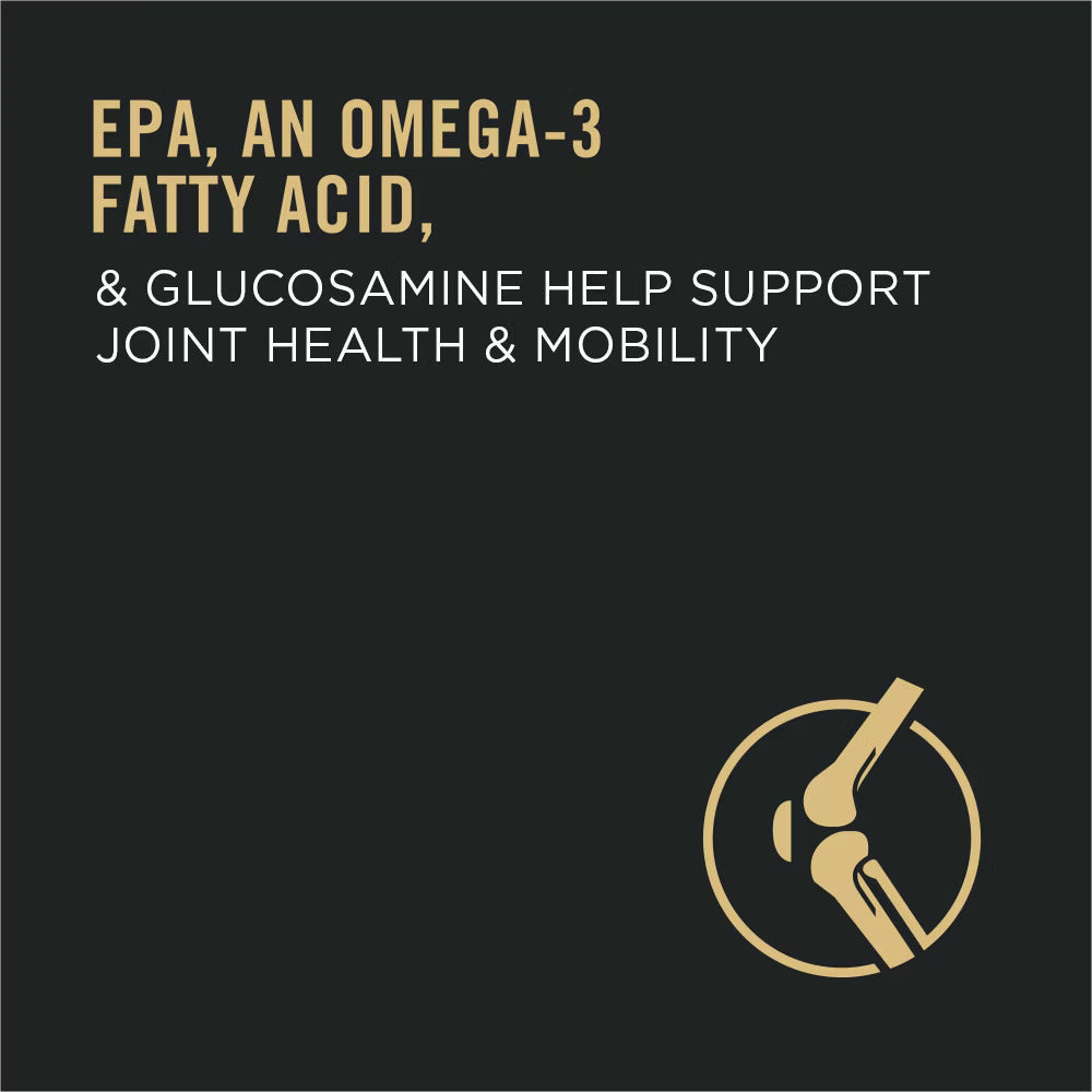 Purina Pro Plan Dog Food to support joint health, the best dog food for older dogs