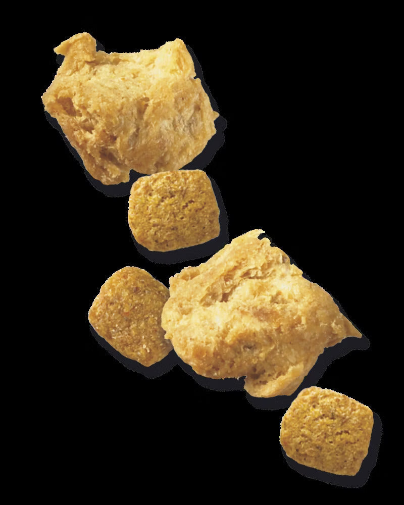 Purina Pro Plan Dog Food kibble pieces designed as the best dog food for older dogs for optimal nutrition