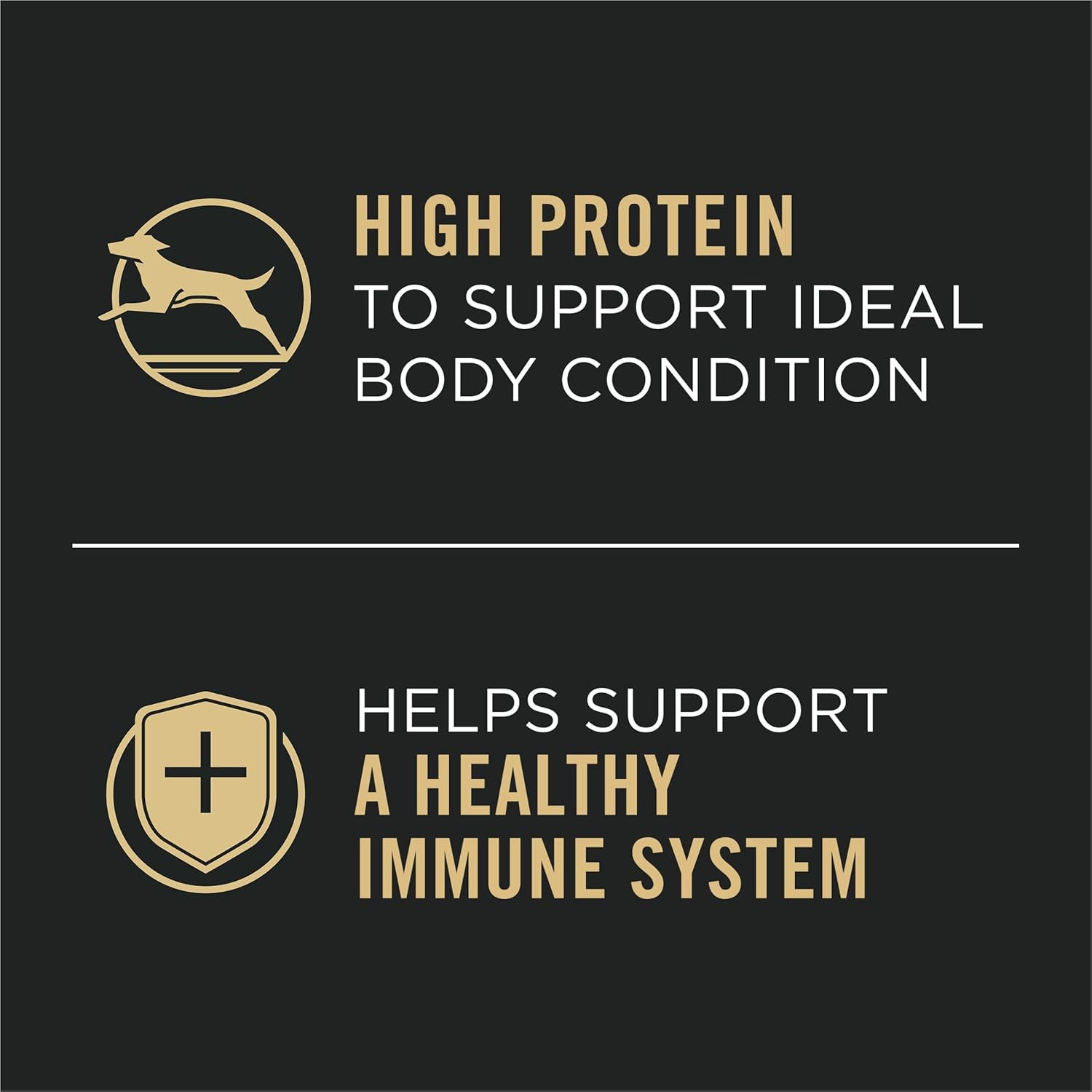 Purina Pro Plan Grain Free Wet Dog Food with high protein for healthy body condition and immune support