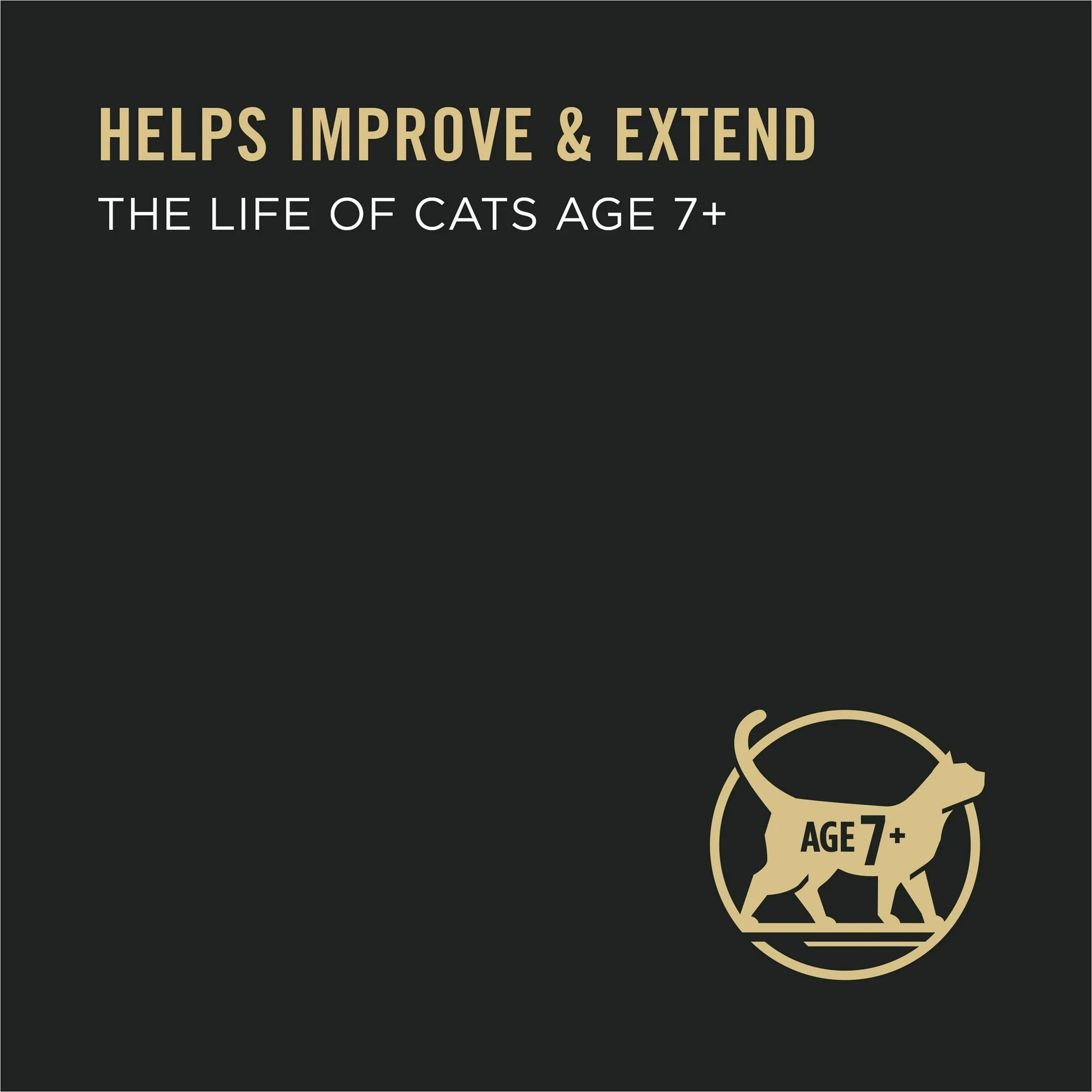 Purina Pro Plan high protein wet food for senior cats, designed to improve and extend their life.