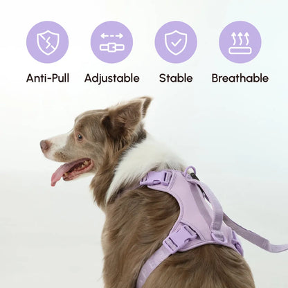 Purple reflective no-pull dog harness by Purrfect Pet Kingdom, available in XS, S, M sizes, showcasing ultimate comfort fo...