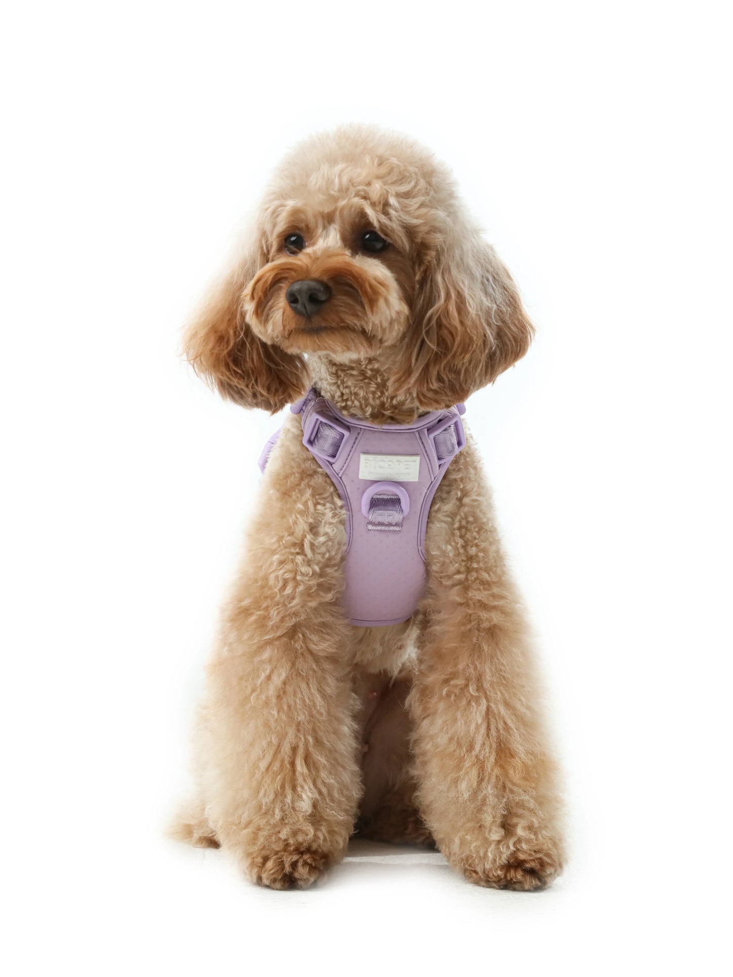 Purple reflective no-pull dog harness by Purrfect Pet Kingdom, available in XS, S, M sizes, showcasing ultimate comfort fo...