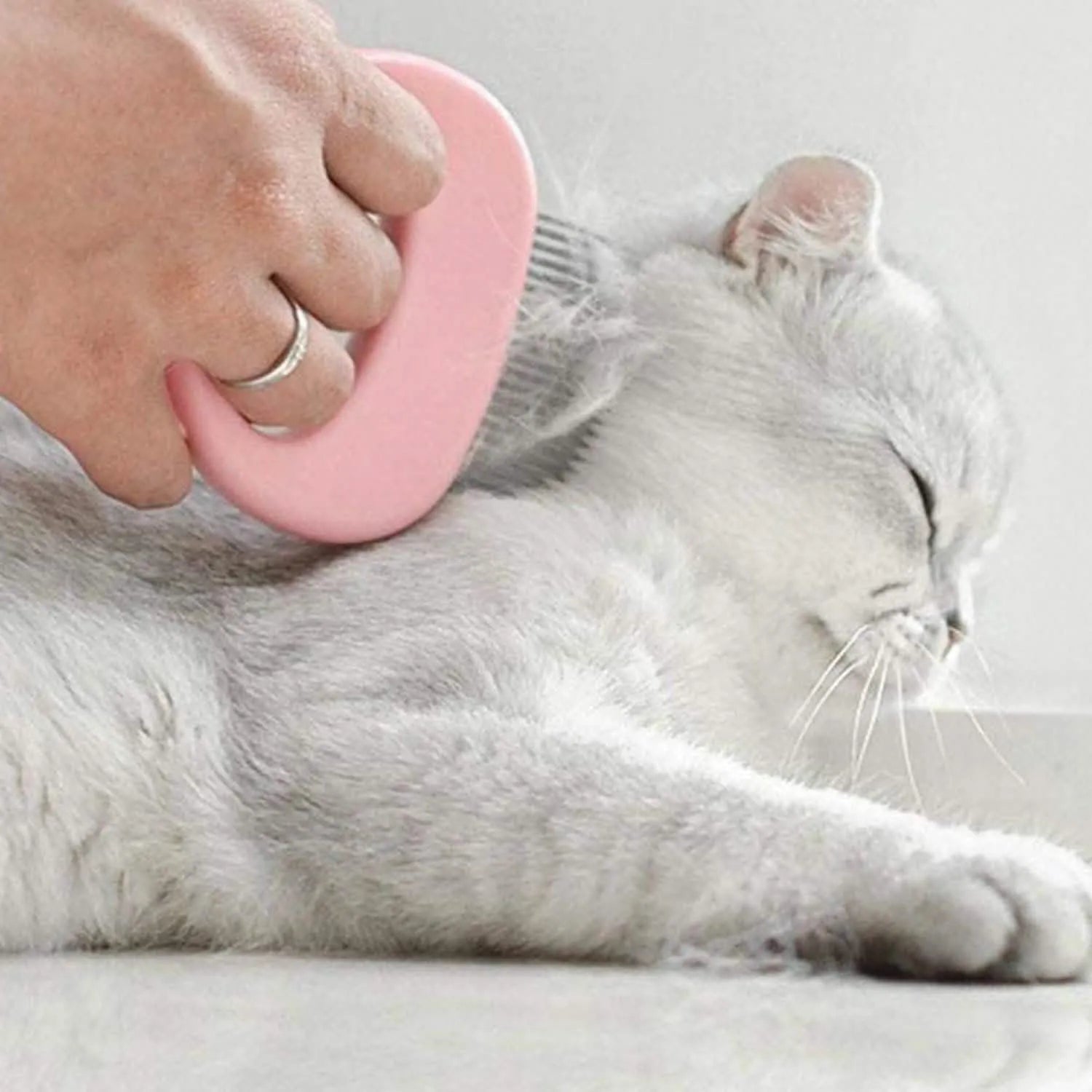 Purrfect Pet Kingdom® - 2-Pack: Pet Hair Removal And Massaging Shell Comb Brush For - Dog Grooming Tools