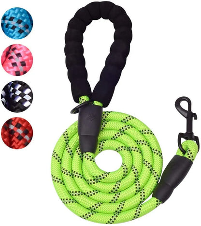 Purrfect Pet Kingdom - 6 FT Dog Leash for Large and Medium Dogs-Green Set of 5 - Pet Products