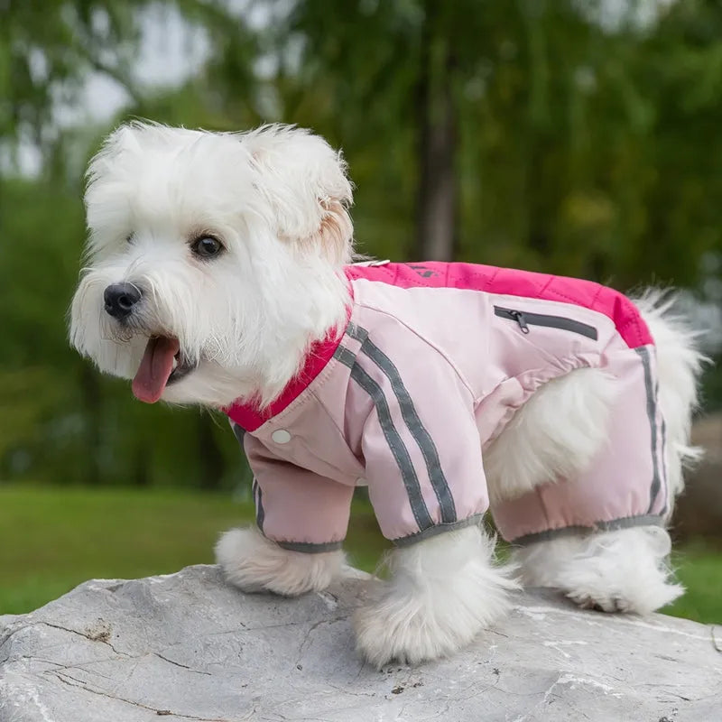 Purrfect Pet Kingdom® - Autumn And Winter Dog Clothing Small And Medium Sized Dog - Pet Dresses