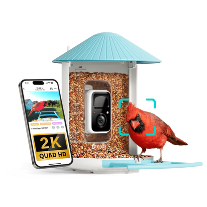 Purrfect Pet Kingdom® - Birdfy Feeder - AI-Powered Smart Bird Feeder with Camera - Birdfy Feeder