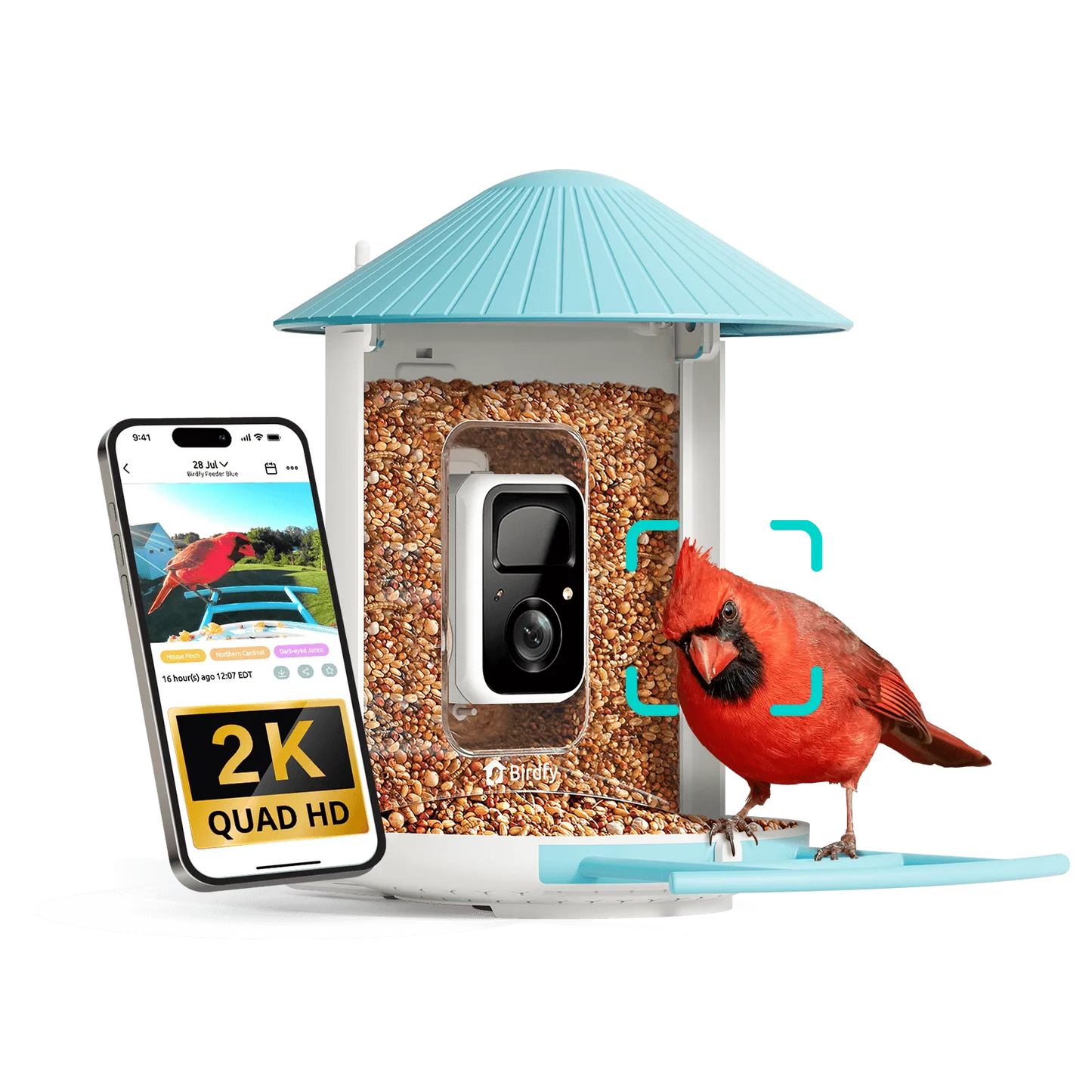 Purrfect Pet Kingdom® - Birdfy Feeder - AI-Powered Smart Bird Feeder with Camera - Birdfy Feeder