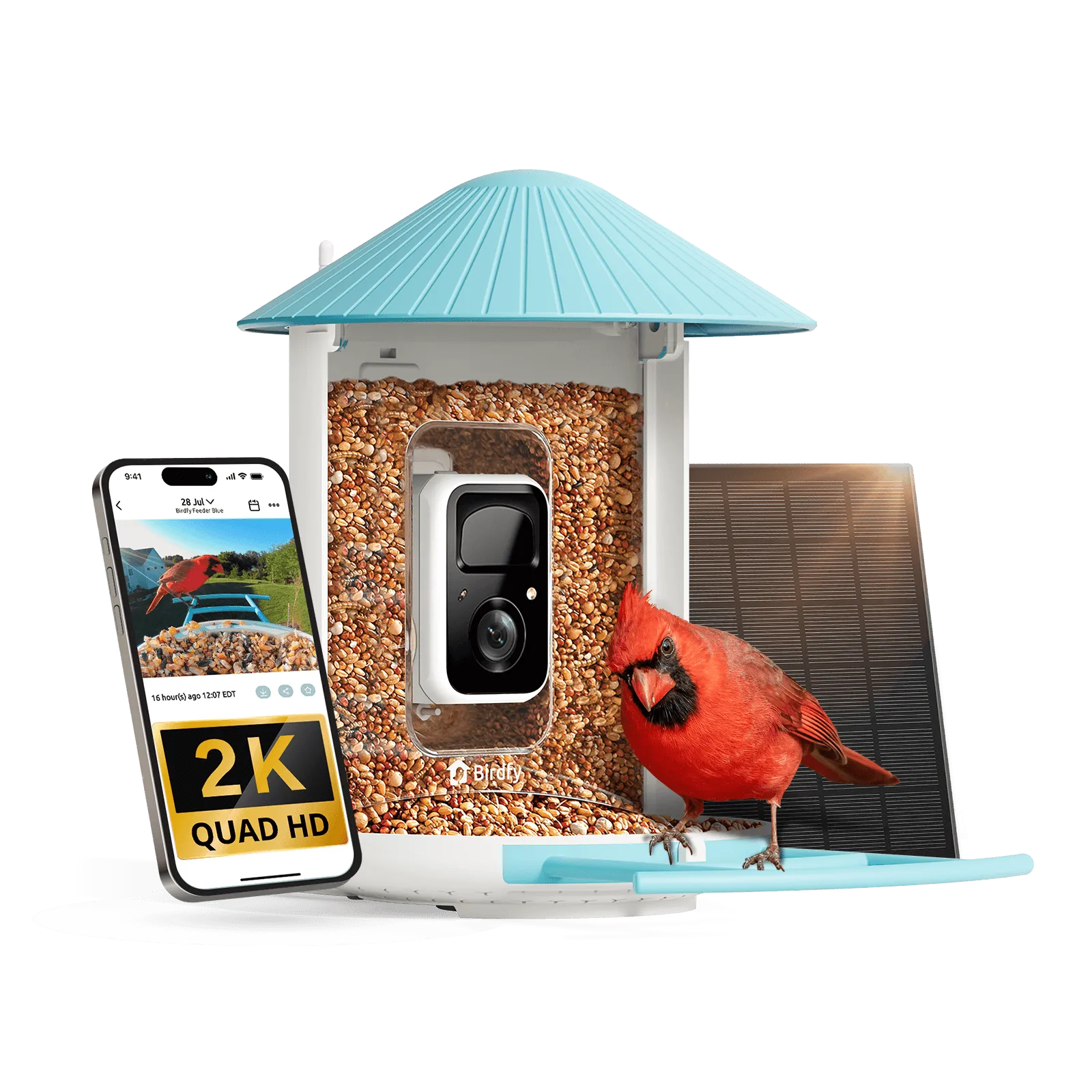 Purrfect Pet Kingdom® - Birdfy Feeder - AI-Powered Smart Bird Feeder with Camera - Birdfy Feeder