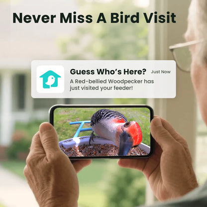 Purrfect Pet Kingdom® - Birdfy Feeder - AI-Powered Smart Bird Feeder with Camera - Birdfy Feeder