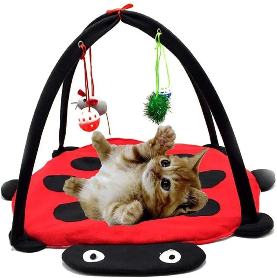 Purrfect Pet Kingdom - Black Ladybug Cat Play Mat - Cat Toys