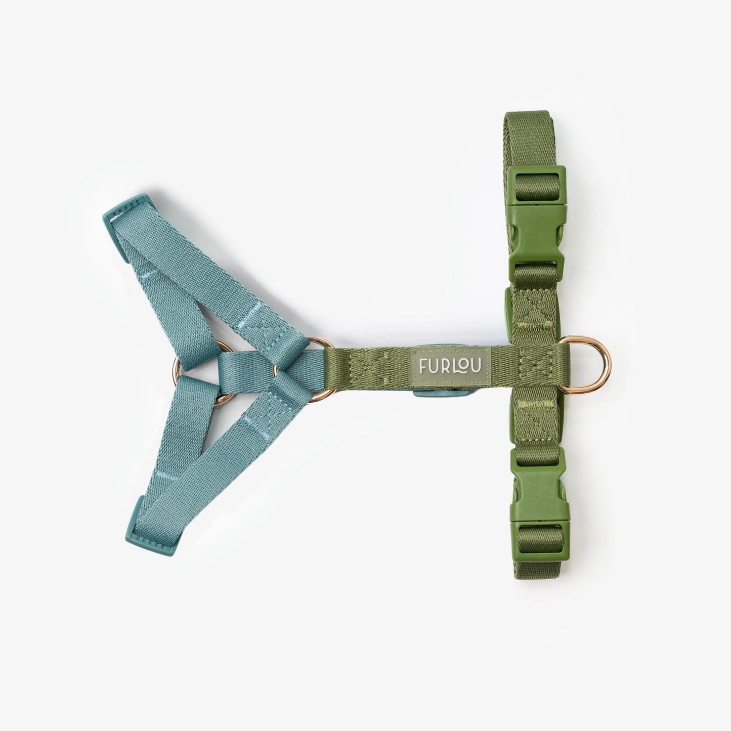 Purrfect Pet Kingdom Blue and Green Dog Harness in extra small, small, and medium sizes, perfect for stylish pet walks.