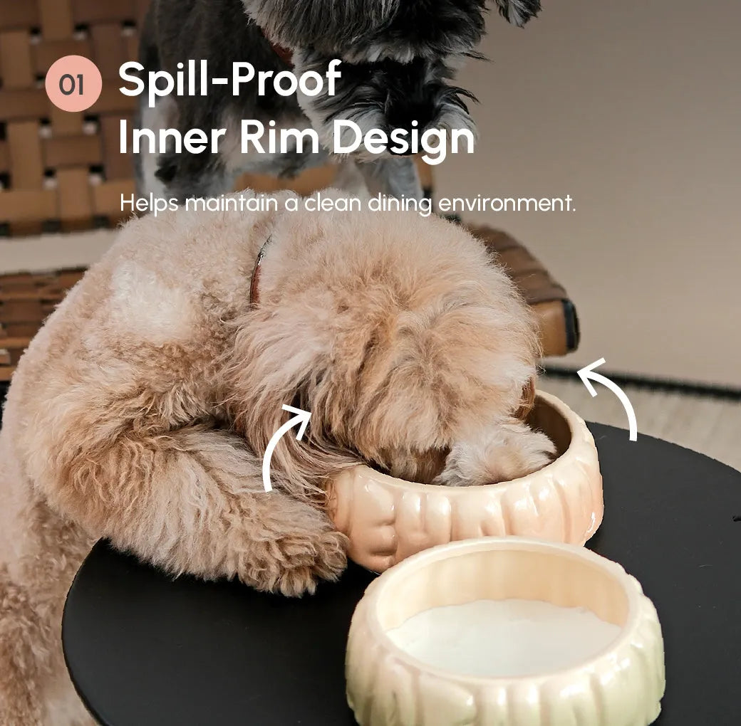 Purrfect Pet Kingdom - Caramel Gradient Spill-Proof Pet Bowl for Dogs and Cats Set - Bowls