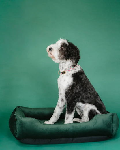 Purrfect Pet Kingdom® - Chester & Lee | Classic Velvet Sleeper Dog Bed Green - Dog Beds