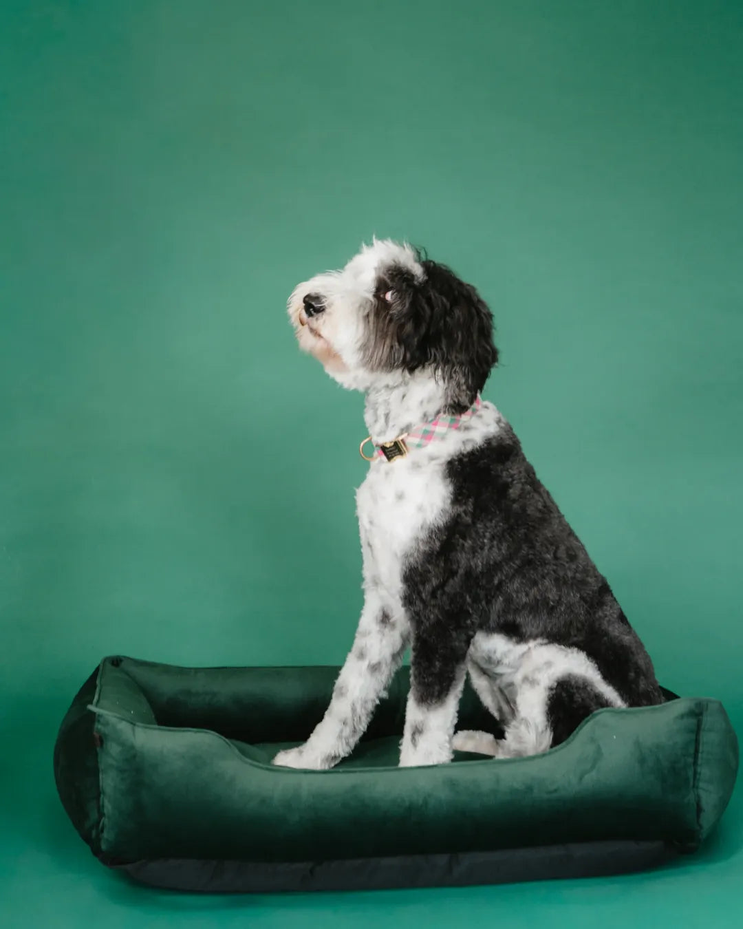 Purrfect Pet Kingdom® - Chester & Lee | Classic Velvet Sleeper Dog Bed Green - Dog Beds