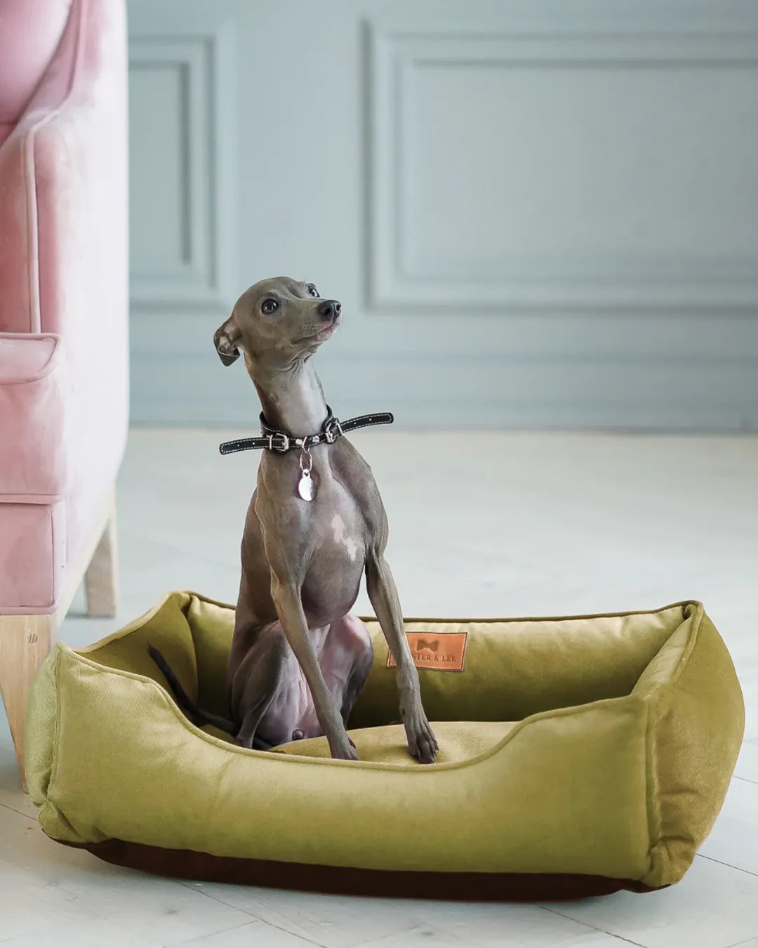 Purrfect Pet Kingdom® - Chester & Lee | Vibrant Velvet Sleeper Dog Bed Olive - Dog Beds