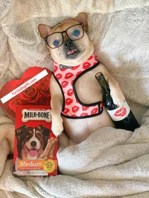 Purrfect Pet Kingdom® - Chic Red Lips Mesh Dog Harness and Leash Set for Small Dogs - Dog Harness