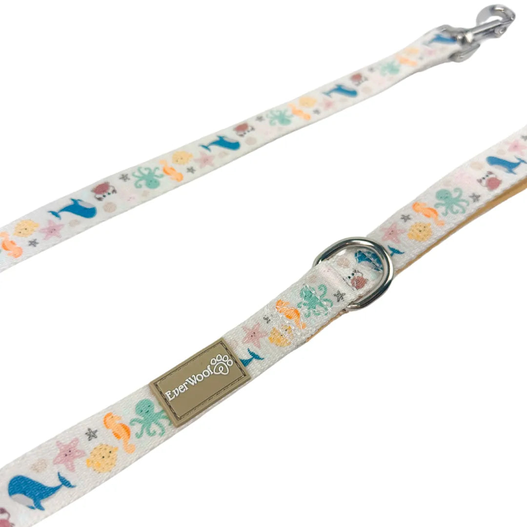 Purrfect Pet Kingdom - Coastal Blue Neoprene Padded Dog Leash for Daily Comfort 5ft - Dog Leashes