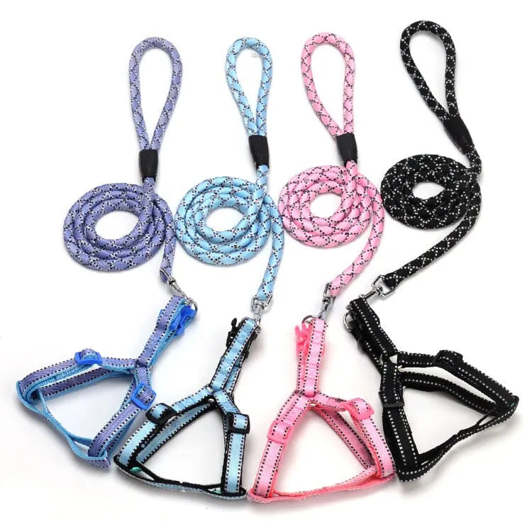 Purrfect Pet Kingdom® - Colorful nylon striped braided rope - 0