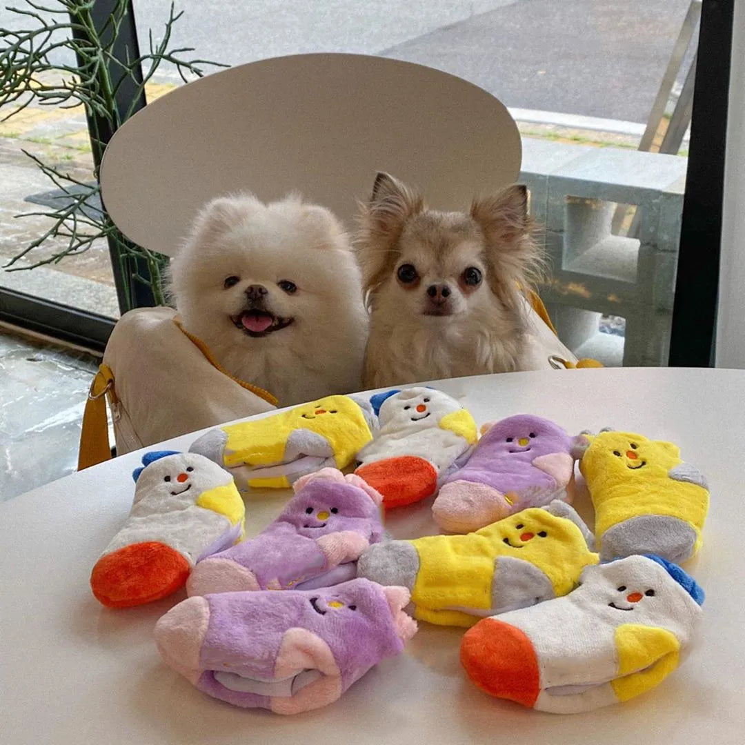 Purrfect Pet Kingdom® - Cute Dog Socks Hidden Food List - Boots & Shoes