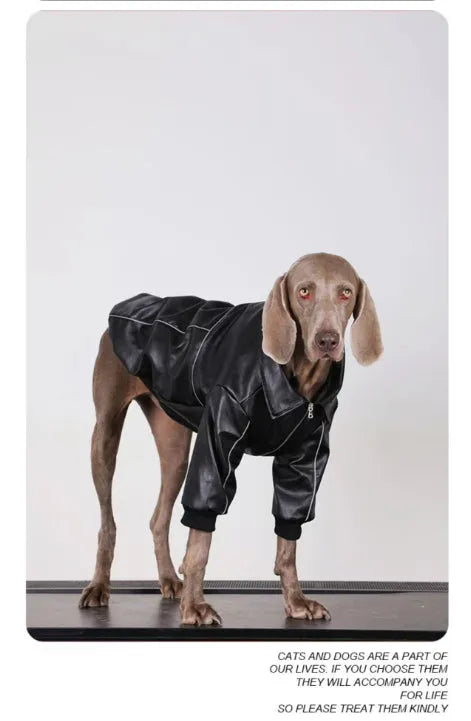 Purrfect Pet Kingdom® - Dog Clothes For Medium To Large Breeds Autumn Black Leather - Pet Coats