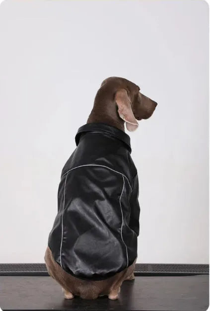 Purrfect Pet Kingdom® - Dog Clothes For Medium To Large Breeds Autumn Black Leather - Pet Coats