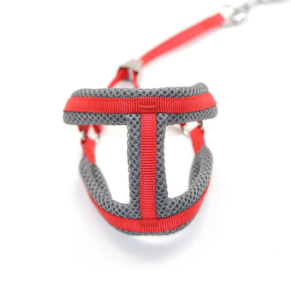 Purrfect Pet Kingdom® - Dog Hand Holding Rope Chest Strap Nylon Clip - Dog Harness