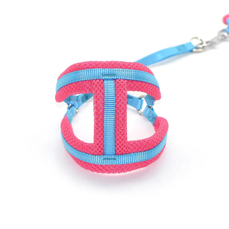 Purrfect Pet Kingdom® - Dog Hand Holding Rope Chest Strap Nylon Clip - Dog Harness