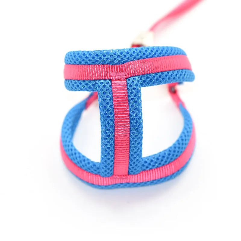 Purrfect Pet Kingdom® - Dog Hand Holding Rope Chest Strap Nylon Clip - Dog Harness