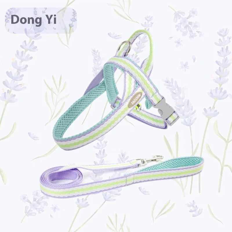 Purrfect Pet Kingdom® - Dog Hand Holding Rope Portable Pet Harness - 0