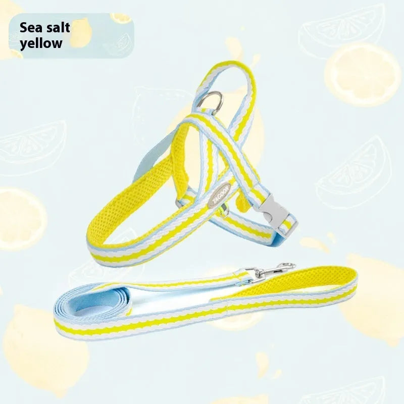 Purrfect Pet Kingdom® - Dog Hand Holding Rope Portable Pet Harness - 0