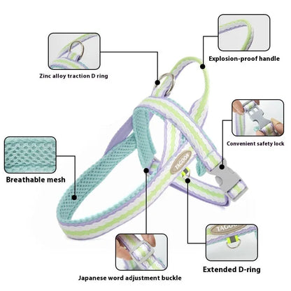 Purrfect Pet Kingdom® - Dog Hand Holding Rope Portable Pet Harness - 0