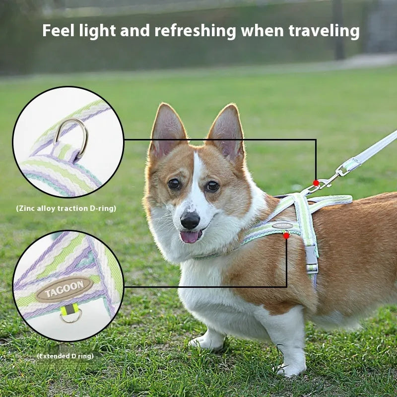 Purrfect Pet Kingdom® - Dog Hand Holding Rope Portable Pet Harness - 0