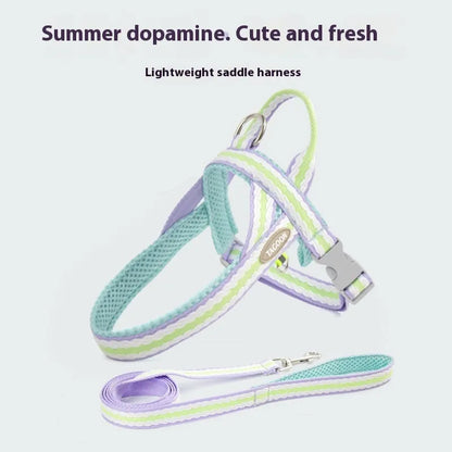 Purrfect Pet Kingdom® - Dog Hand Holding Rope Portable Pet Harness - 0