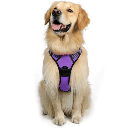 Purrfect Pet Kingdom® - Dog Hand Holding Rope Reflective Vest - 0