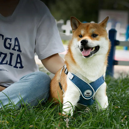 Purrfect Pet Kingdom® - Dog Harness Adjustable Pet Harness Vest For Small Large Dog - 4