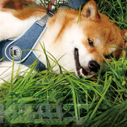 Purrfect Pet Kingdom® - Dog Harness Adjustable Pet Harness Vest For Small Large Dog - 4